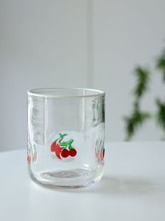 出口美国Anthropologie小清新自然水果玻璃杯奶茶冷饮果汁杯水杯