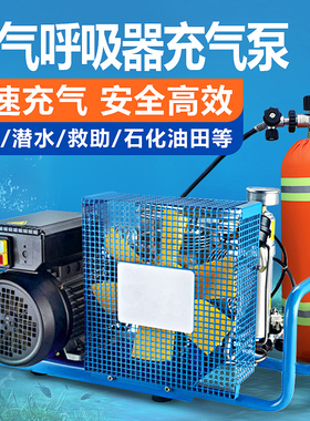 消防空气呼吸器充气泵正压式压缩机潜水30mpa打气机高压气泵气瓶