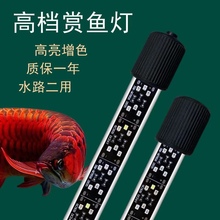 鱼缸灯led防水灯照明水族箱潜水灯水草灯锦鲤金龙红龙鱼灯管专用