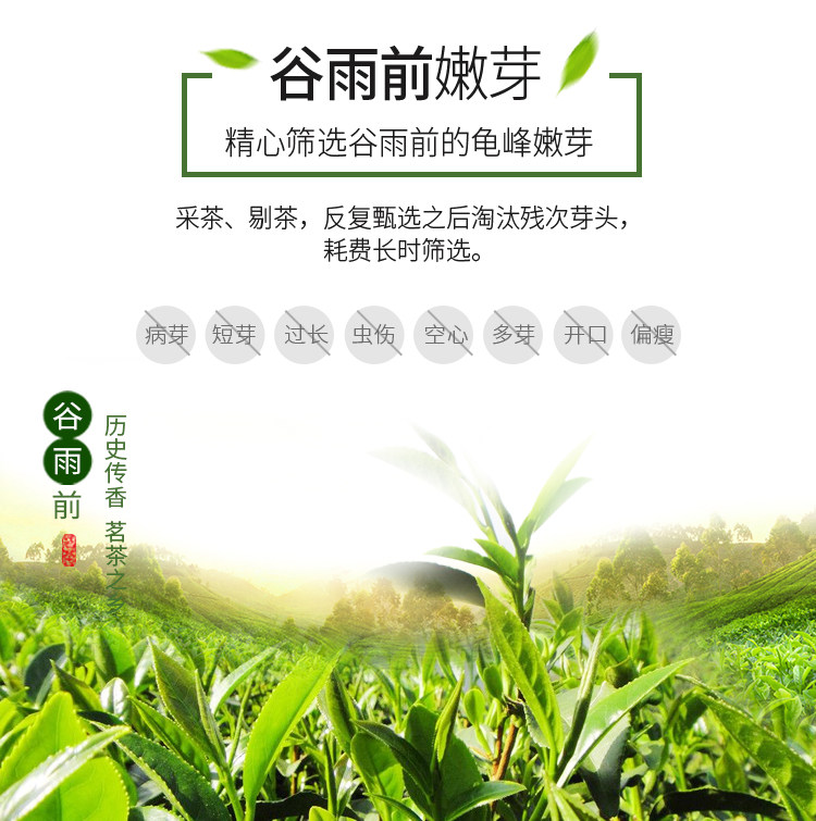 麻城特产金捷利湖北大别龟山高云雾毛尖雨前谷雨白露野生新茶绿叶