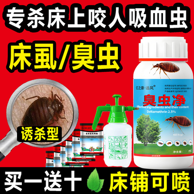 宿舍卧室床上灭咬人臭虫床虱专用