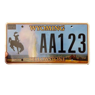 定制美国怀俄明州四品模型车牌玩具车牌照号码3D金属字RC攀爬越野