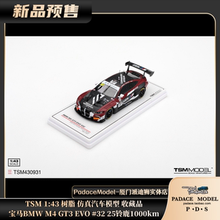 树脂车模 25铃鹿 宝马BMW 1000km GT3 TSM EVO PDS