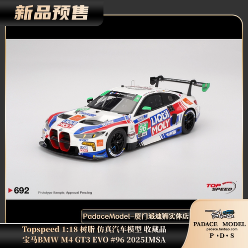 宝马BMWM4GT3EVO#96