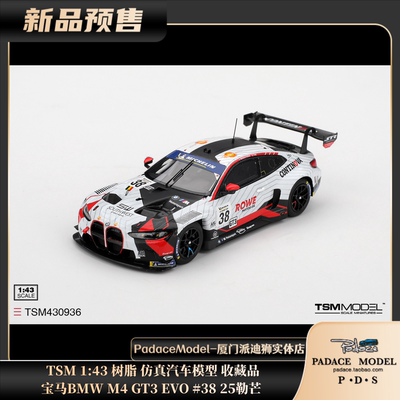 宝马BMWM4GT3EVO#3825勒芒