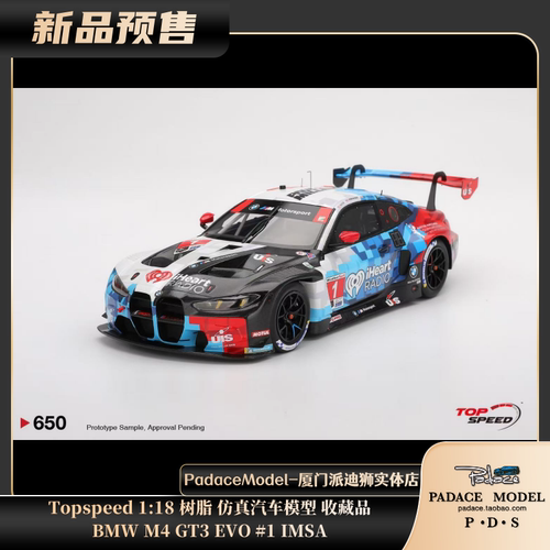 福特野马GT3#65IMSA