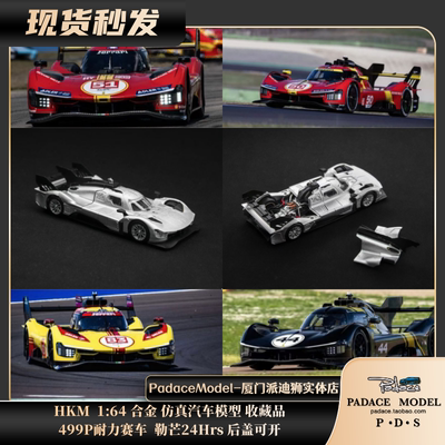 499P耐力赛车勒芒24Hrs