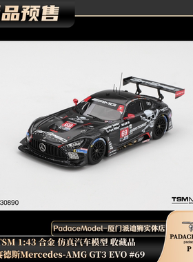 [PDS]TSM 1:43 梅赛德斯 Mercedes-AMG GT3 EVO #69 合金汽车模型