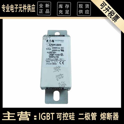 熔断器 170M1809 1802 1803 1804 1805 1806 1807 1808 1810 1811