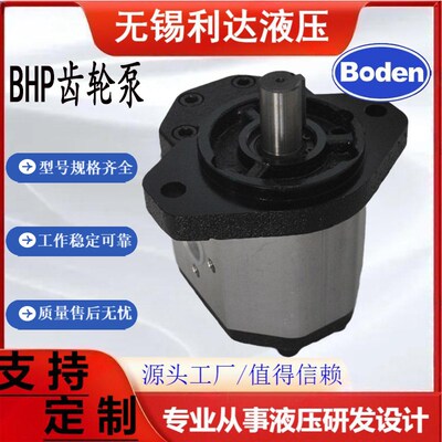 齿轮泵BHP2A0D28H2Z13-R/BHP2A0D16/D20/D25/D14/D36/D10后进后出