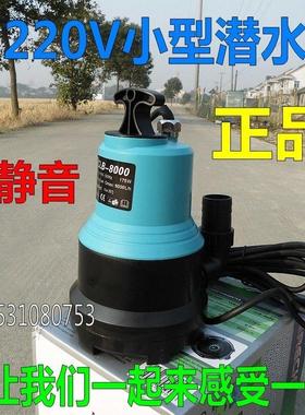 静音220V小型潜水泵排污泵家用大流量灌溉抽水浇花浇菜水泵175W