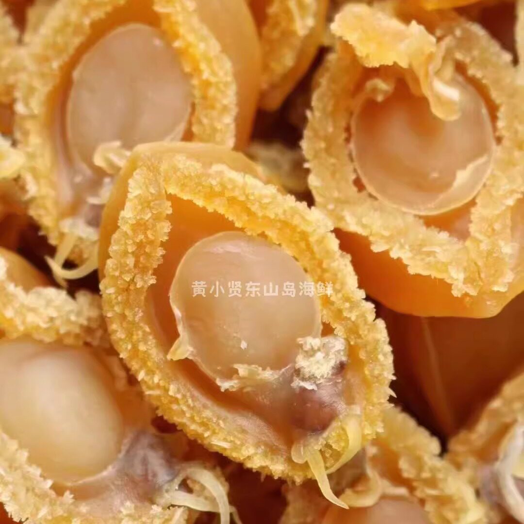 黄小贤东山特产鲍鱼干佛跳墙滋补