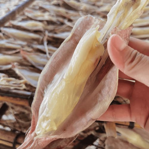 黄小贤东山海鲜特产鱿鱼母补气血