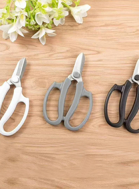 奉天FT园艺花艺剪刀宽头家用花剪鲜花花道剪花枝树枝修花修枝工具