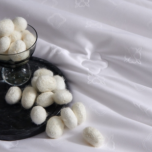 Silk quilt蚕丝被全棉提花玻尿酸桑蚕丝长丝春秋被子冬被芯单双人