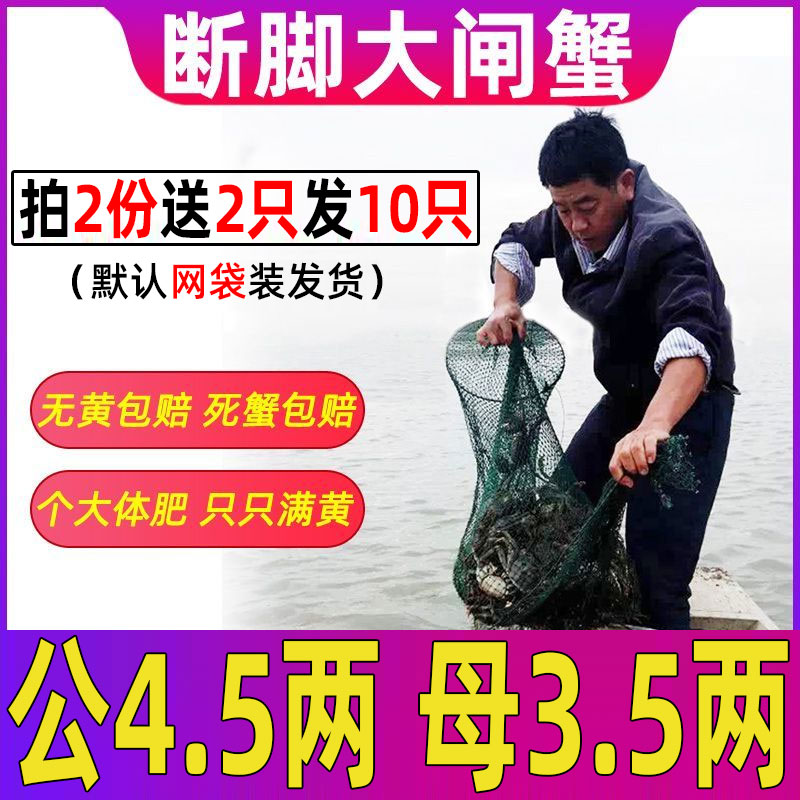 4只/份固城湖大闸蟹断脚缺腿