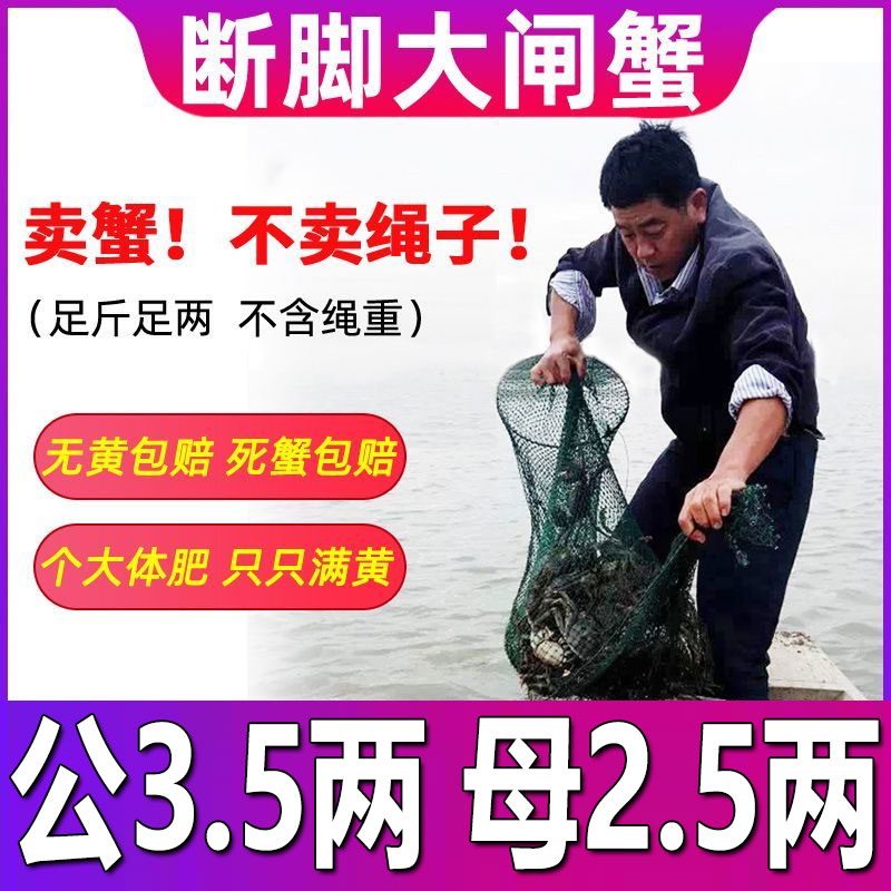 固城湖大闸蟹残蟹公3.5两母2.5两