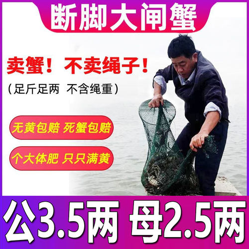 固城湖大闸蟹残蟹公3.5两母2.5两