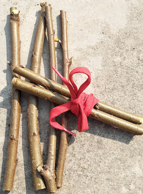 桃树枝东南桃枝桃木棍