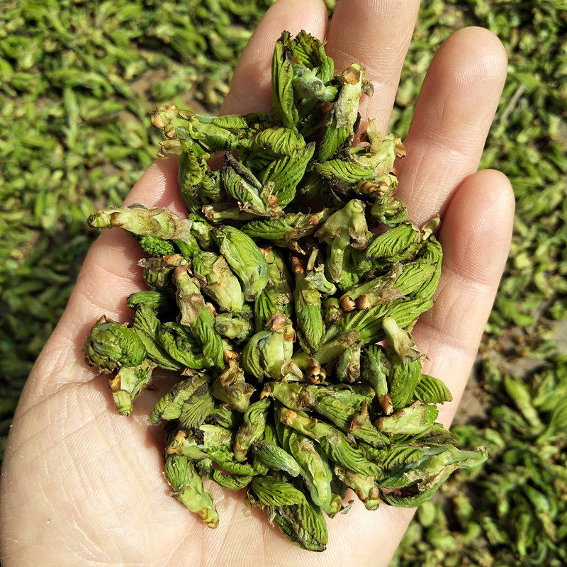 2026桑芽茶桑叶嫩芽茶春茶扬州桑芽食用桑葚芽免洗嫩桑叶50g包邮