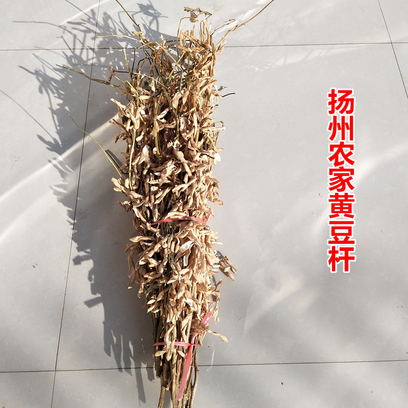 天然大豆杆黄豆秆黑豆杆黑芝麻杆豆萁杆干花结婚装饰插花拍摄道具-封面