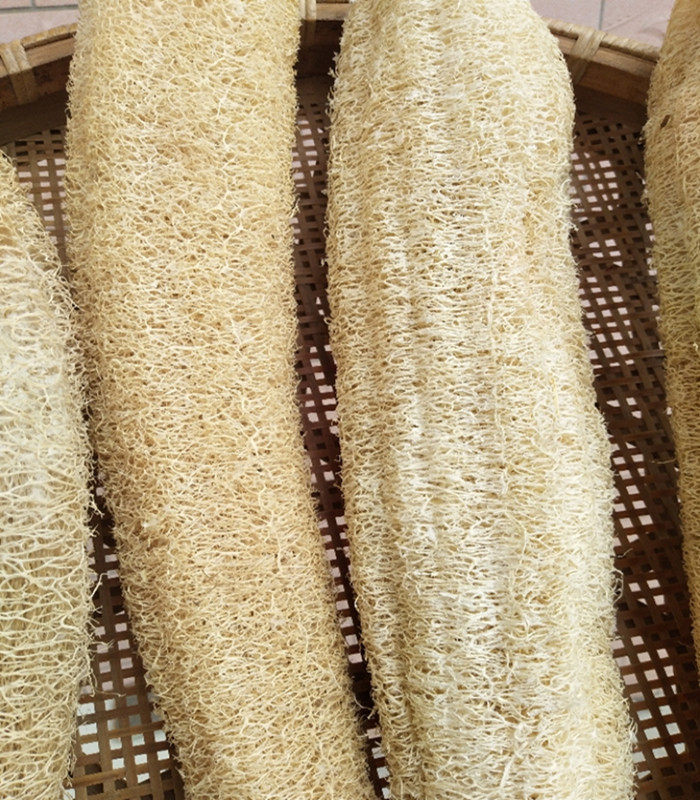 农家天然老丝瓜络丝瓜布丝瓜瓤抹布洗碗巾洗澡浴花搓澡食用丝瓜络