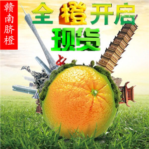 正宗赣南脐橙全国包邮新鲜现摘孕妇水果寻乌甜橙子胜安远信丰