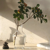 现货 水培鲜花花器果汁壶牛奶瓶 法国制进口玻璃花瓶干花瓶法式