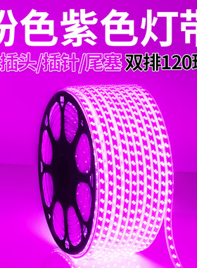紫色led灯带紫光粉色灯带家用220v装饰浪漫创意超亮户外防水长条