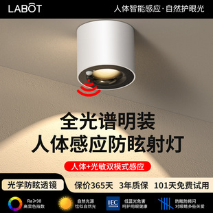 明装人体感应灯家用走廊过道灯入户玄关灯楼道筒灯红外线吸顶射灯