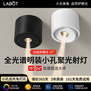 一束聚光射灯明装超薄小角度5W茶厅室氛围15度24度餐桌可调节筒灯