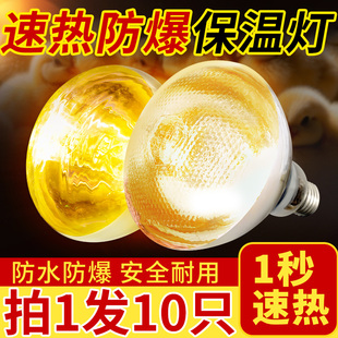 仔猪用保温灯养殖场专用小鸡育雏取暖猪场烤灯泡加热猪舍冬季保暖