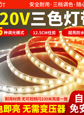 220v三色变光灯带自粘led软灯条客厅吊顶电视卧室氛围灯户外防水