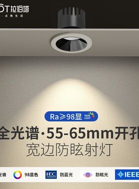 拉伯塔 全光谱led小山丘射灯开孔55 60 65 70mm家用嵌入式cob射灯
