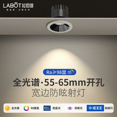 拉伯塔 全光谱led小山丘射灯开孔55 60 65 70mm家用嵌入式cob射灯