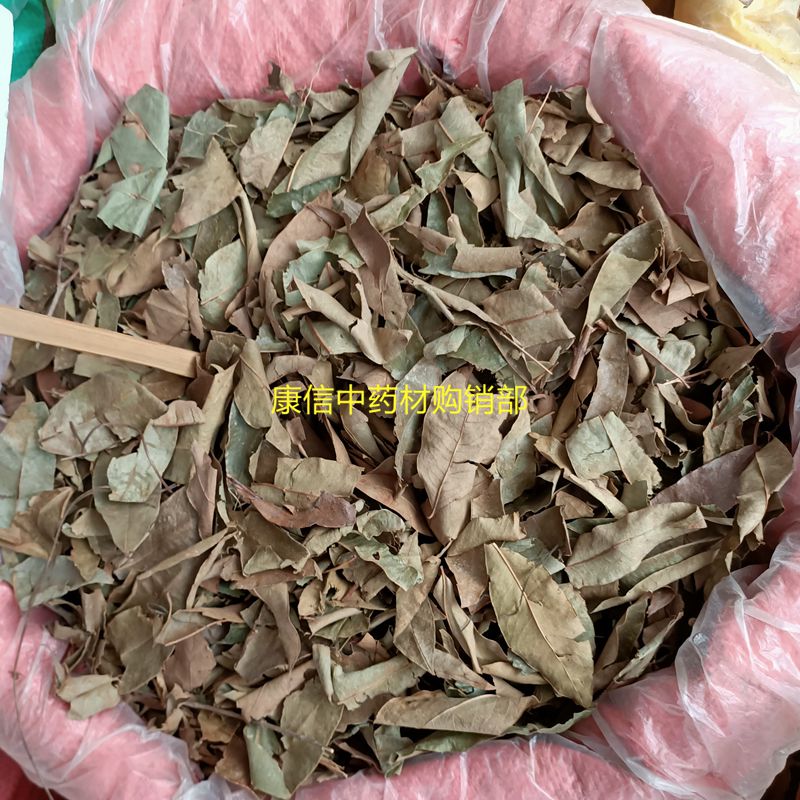 黄牛茶 黄牛木叶 凉茶 野生黄牛茶 九芽木 鹧鸪木 500克 干货