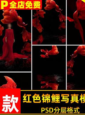 东方韵味中国风新中式红色锦鲤写真照后期修图设计psd模板素材