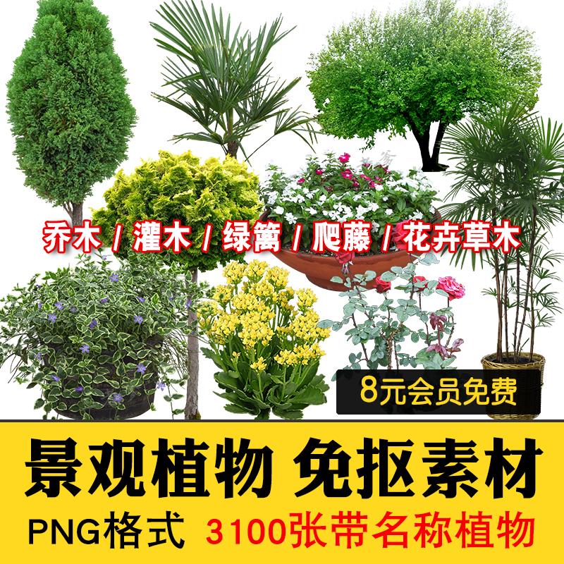 PS景观园林带名称植物乔木灌木PNG免抠花草树后期效果图绿植素材