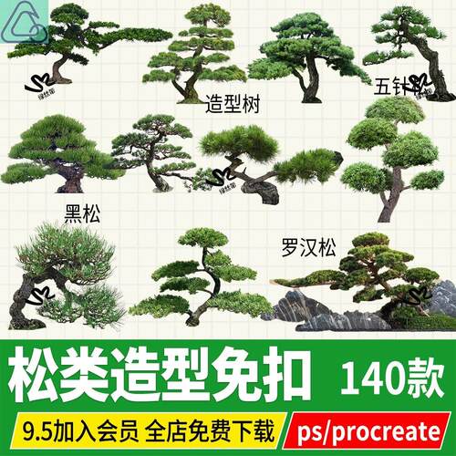 罗汉松造型松迎客松黑松崖柏松树效果图png psd ps procreate素材