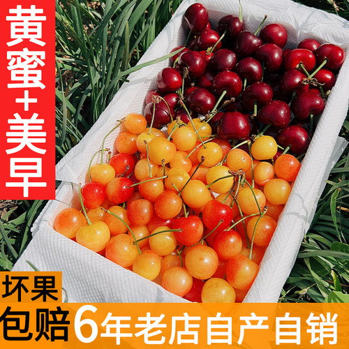 美早和黄水晶双拼的口感