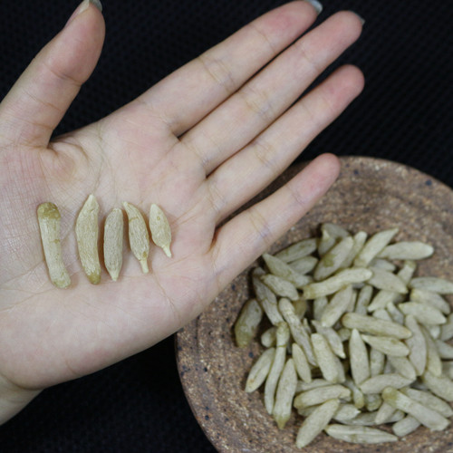 沐日无硫川麦冬三台道地产区