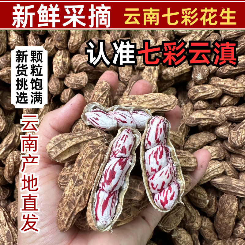 云南带壳富硒七彩花生新鲜带泥