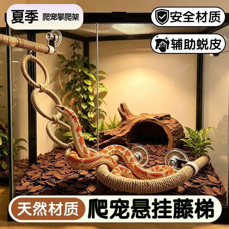 玉米蛇吸盘攀爬绳肥尾守宫蜥蜴悬挂吊环爬宠玩具缸造景代发XJ