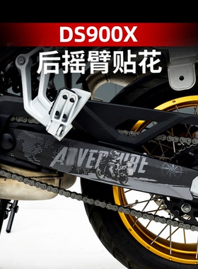 适用无极DS900X防水贴纸后摇臂拉花防晒贴花版花版画配件改装