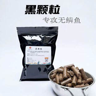 邑仁户外黑颗粒专攻黄辣丁三角峰石头扁牛尾巴无鳞鱼鲶鱼精品打窝