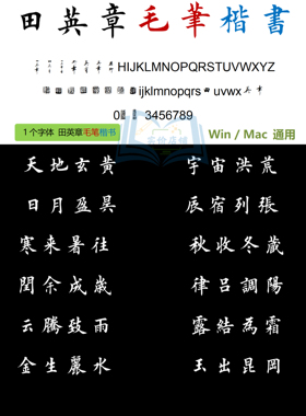 【45】新版 4个 田英章毛笔硬笔楷书钢笔行书中文简体TTF电脑字体