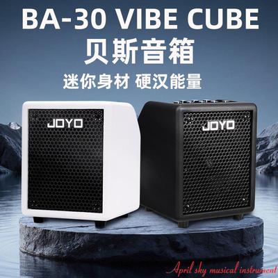 卓乐BA-30贝斯专用蓝牙音箱