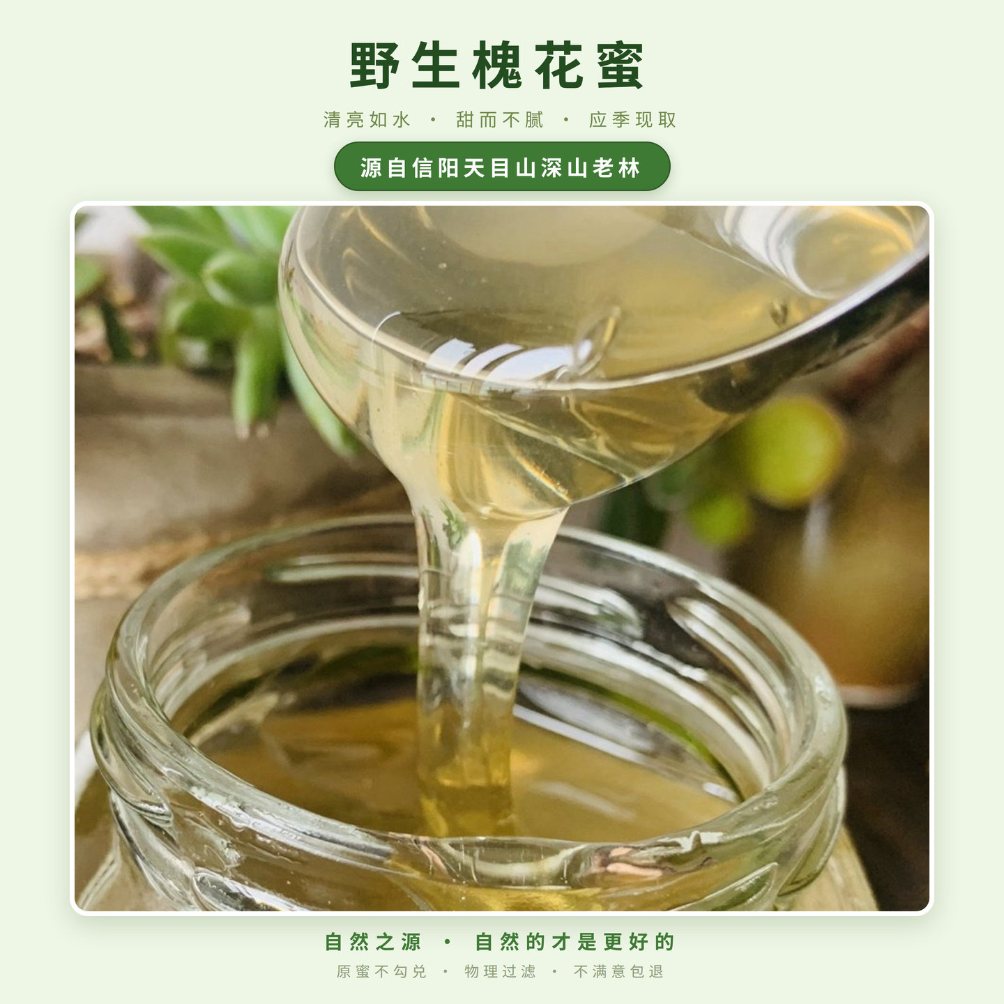 信阳天目山特产野生蜂蜜洋槐花蜂蜜500g荆条花蜂蜜深山蜂蜜礼盒
