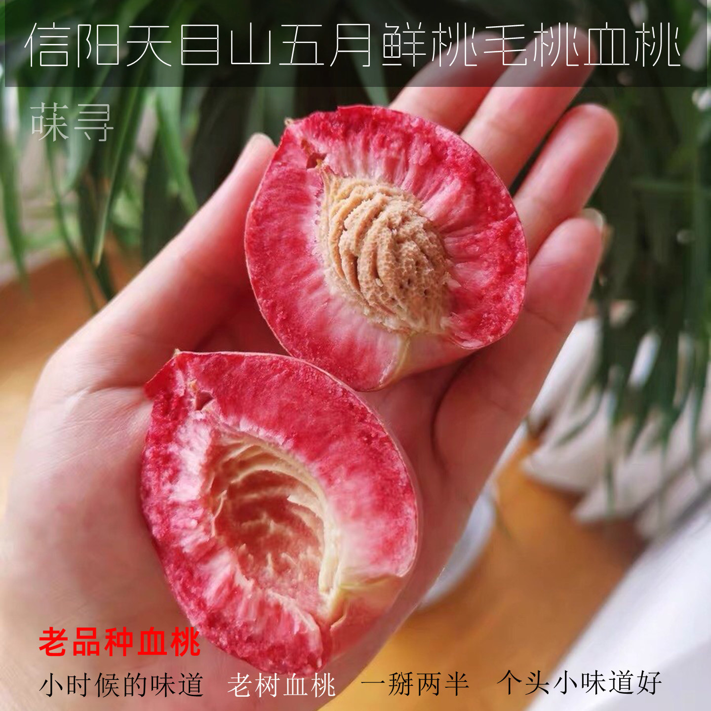 正宗信阳五月鲜桃子老树毛桃血桃老品种仙桃红桃新鲜水果礼盒送礼