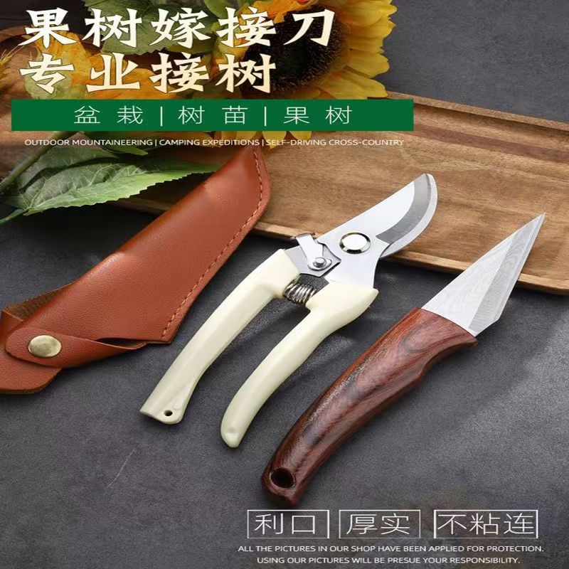 果树嫁接专用刀高硬度方块嫁接刀图片